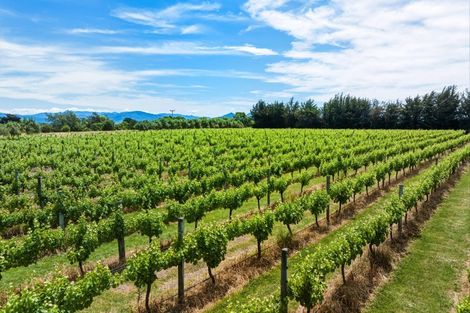 Photo of property in 686 Dillons Point Road, Dillons Point, Blenheim, 7273