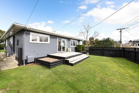 Photo of property in 18 Patrick Place, Fitzroy, Hamilton, 3206