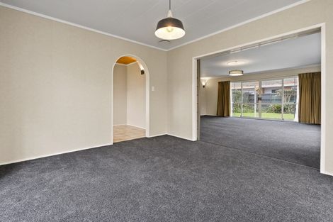 Photo of property in 109 Clarkin Road, Fairfield, Hamilton, 3214