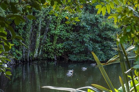 Photo of property in 19 Oceana Drive, Welcome Bay, Tauranga, 3175