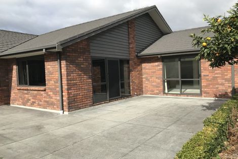 Photo of property in 43 Hynds Road, Gate Pa, Tauranga, 3112