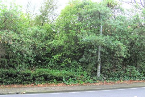 Photo of property in 3a Lake Domain Drive, Frankton, Hamilton, 3204