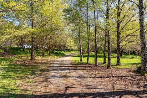 Photo of property in 213 Te Whiti Road, Homebush, Masterton, 5885