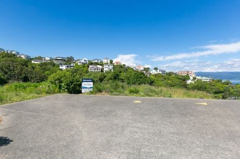 Photo of property in 125 Nicholson Road, Khandallah, Wellington, 6035