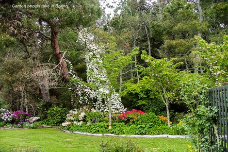 Photo of property in 529 Whangamata Road, Kinloch, Taupo, 3377