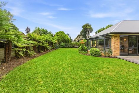 Photo of property in 2 Ronay Street, Bradford, Dunedin, 9011