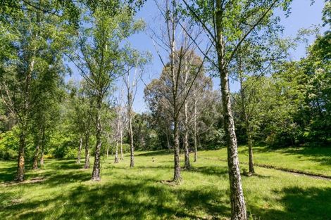 Photo of property in Tradgard, 158 Shanley Road, Crownthorpe, Hastings, 4179