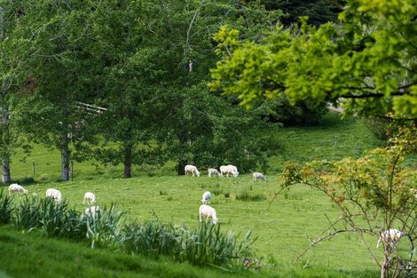 Photo of property in 292 Waipori Falls Road, Berwick, Outram, 9073