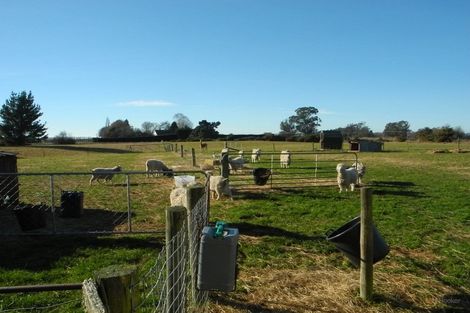 Photo of property in 71 Willowbridge Settlement Road, Waimate, 7980