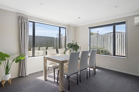 Photo of property in 20b Charlie Stanton Place, Shirley, Christchurch, 8052