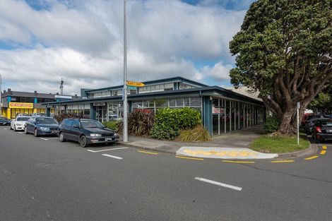 Photo of property in 22 Raroa Road, Kelburn, Wellington, 6012