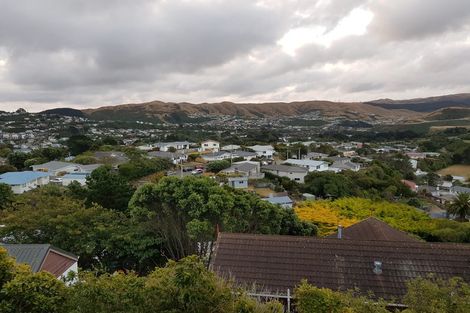 Photo of property in 28-28b Jane Grove, Paparangi, Wellington, 6037