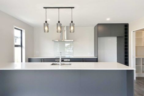 Photo of property in 4 Sedge Street, Belfast, Christchurch, 8051