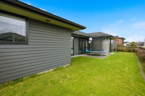 Photo of property in 90 Tabraham Crescent, Pyes Pa, Tauranga, 3112