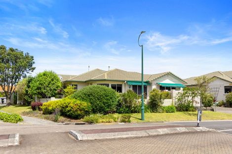 Photo of property in 1 Fahey Avenue, Mount Maunganui, 3116