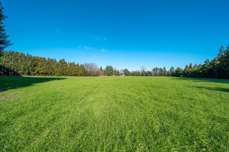 Photo of property in 33 Horrell Road, Morrinsville, 3374