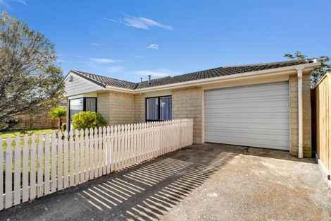 Photo of property in 28 Freyberg Street, Roslyn, Palmerston North, 4414