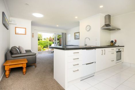 Photo of property in 138 Limbrick Street, Terrace End, Palmerston North, 4410
