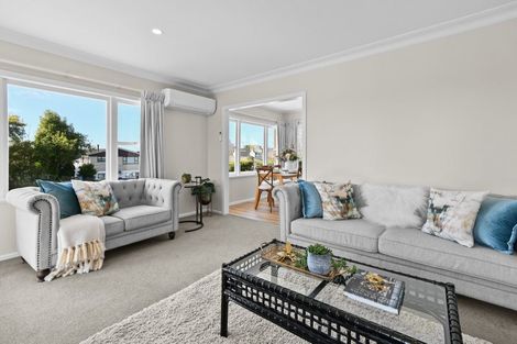 Photo of property in 161 Wellington Street, Pukekohe, 2120