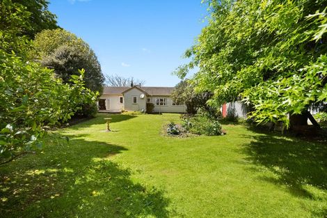 Photo of property in 15 Anglesea Street, Hamilton Central, Hamilton, 3204