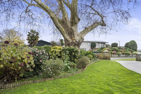 Photo of property in 92 Tennyson Street, Leamington, Cambridge, 3432