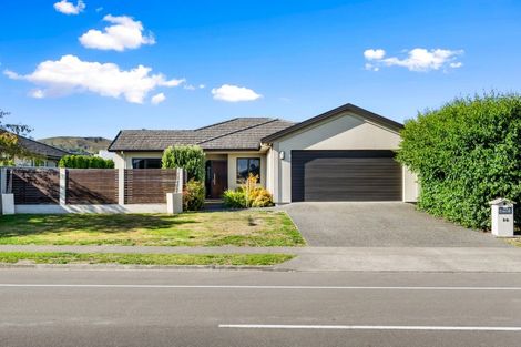 Photo of property in 20 Meissner Road, Havelock North, 4130