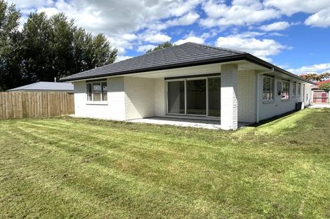 Photo of property in 54b Costley Street, Carterton, 5713