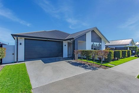 Photo of property in 59 Te Rito Street, Marshland, Christchurch, 8083
