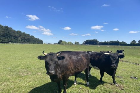 Photo of property in 30 Taylor East, Makarewa, Invercargill, 9876