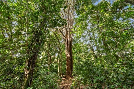 Photo of property in 409 Whatitiri Road, Poroti, Whangarei, 0179