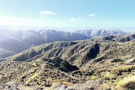 Photo of property in Long Gully Farm, 500 Hawkins Hill Road, Brooklyn, Wellington, 6021