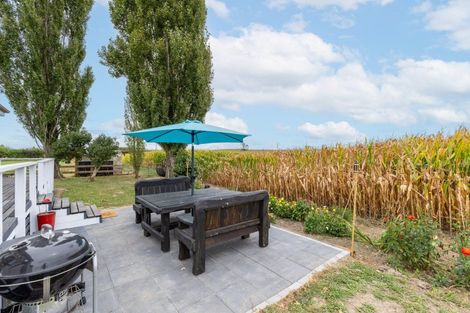 Photo of property in 395 Kiwitahi Railway Road, Morrinsville, 3371