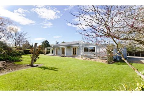 Photo of property in 53 Kennedy Street, Geraldine, 7930