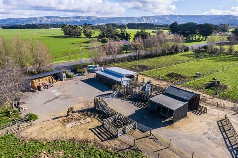 Photo of property in 80541 Masterton Road, Woodville, 4999