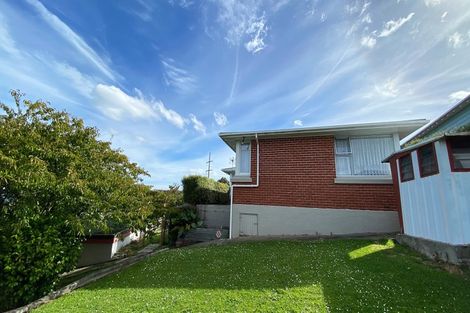 Photo of property in 16 Forfar Street, Clyde Hill, Dunedin, 9011