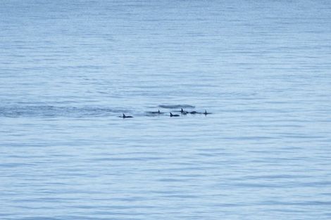 Photo of property in 19 The Crescent, Raumati South, Paraparaumu, 5032