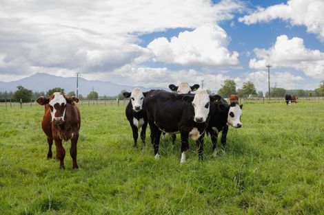 Photo of property in 450 Alexandra Road, Manawaru, Te Aroha, 3391