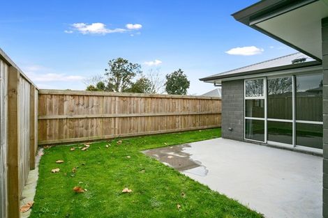 Photo of property in 3c Allenby Road, Matamata, 3400