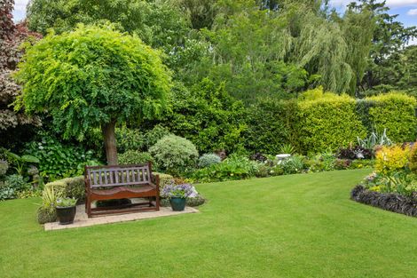 Photo of property in 50 Stirling Drive, Morrinsville, 3300