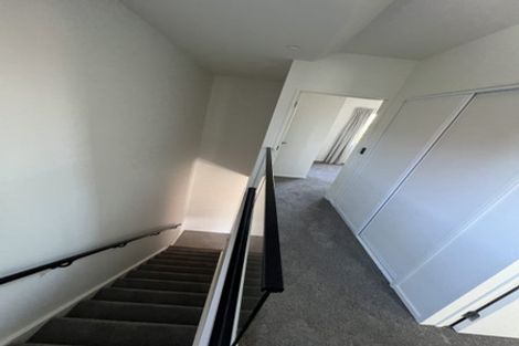 Photo of property in 17 Shearer Avenue, Papanui, Christchurch, 8052