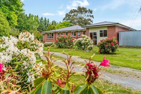 Photo of property in 464 Owaka Valley Road, Owaka, 9586