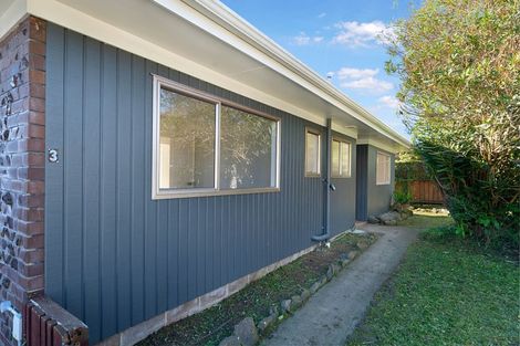 Photo of property in 3/1a Amberley Avenue, Te Atatu South, Auckland, 0610