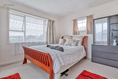 Photo of property in 50 Webster Avenue, Mount Roskill, Auckland, 1041