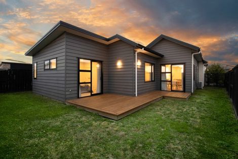 Photo of property in 20 Gosset Avenue, Chartwell, Hamilton, 3210