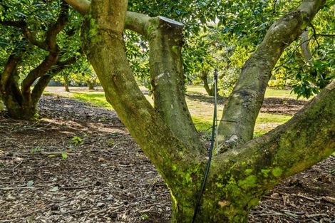 Photo of property in 237b Busby Road, Tahawai, Katikati, 3170