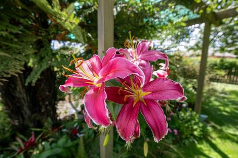 Photo of property in 12 Ohinewai Road North, Ohinewai, Huntly, 3771