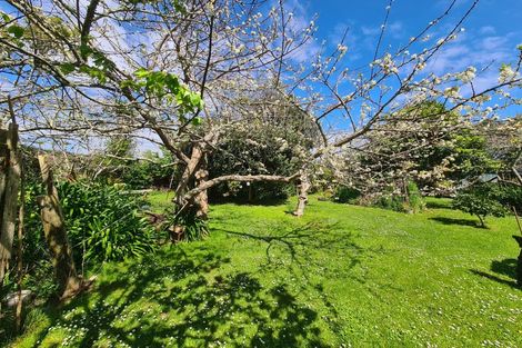 Photo of property in 2225 Tiki Sh25 Road, Preece Point, Coromandel, 3506
