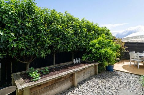 Photo of property in 6 Vanda Place, Gate Pa, Tauranga, 3112