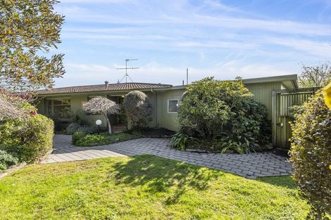 Photo of property in 87 Jeffery Street, Andersons Bay, Dunedin, 9013