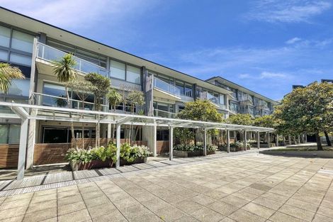 Photo of property in Revolucion Apartments, 305/28s Torrens Terrace, Mount Cook, Wellington, 6011